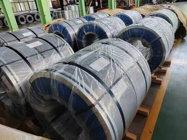 Bobina tagliata con precisione a grani orientati